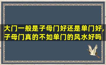 大门一般是子母门好还是单门好,子母门真的不如单门的风水好吗 胡扯